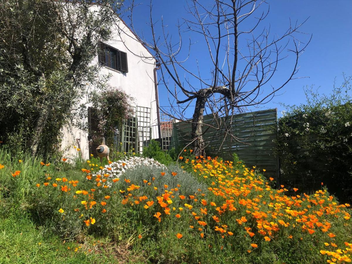 House Of The Three Marias Bed and Breakfast Pedrogao Grande Exteriör bild