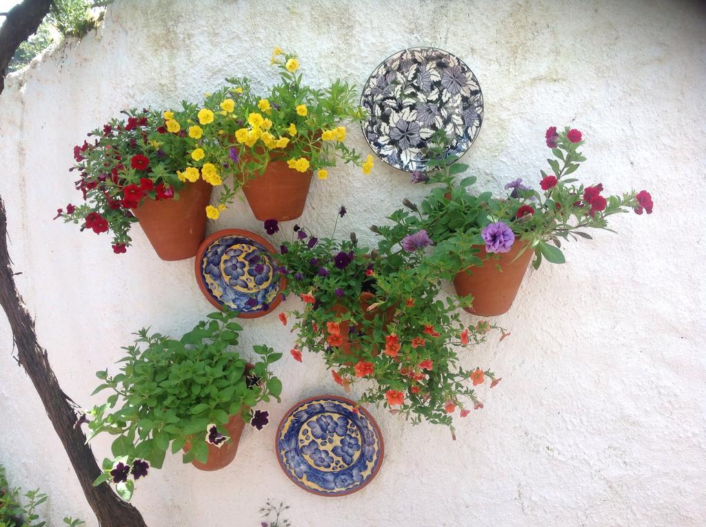House Of The Three Marias Bed and Breakfast Pedrogao Grande Exteriör bild